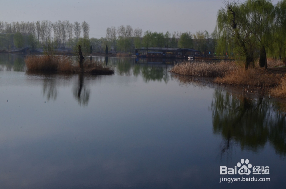 人的情绪随时都在变换