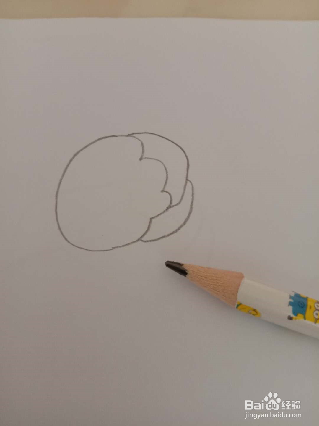 简笔画 如何画洋白菜