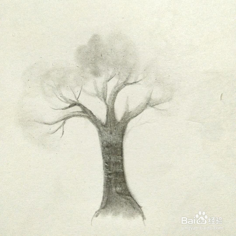 怎样画一颗树？