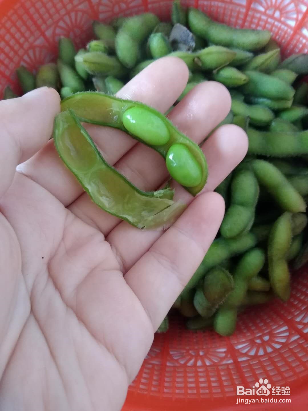 煮毛豆的做法