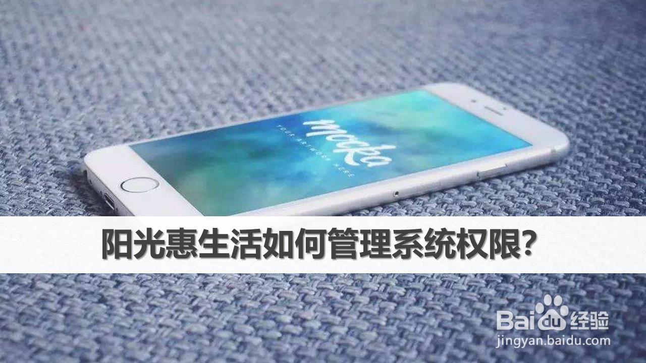 阳光惠生活如何管理系统权限