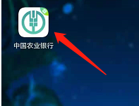 安卓版中国农业银行如何重置密码