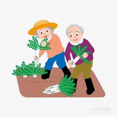 老年人最适合的运动是什么？