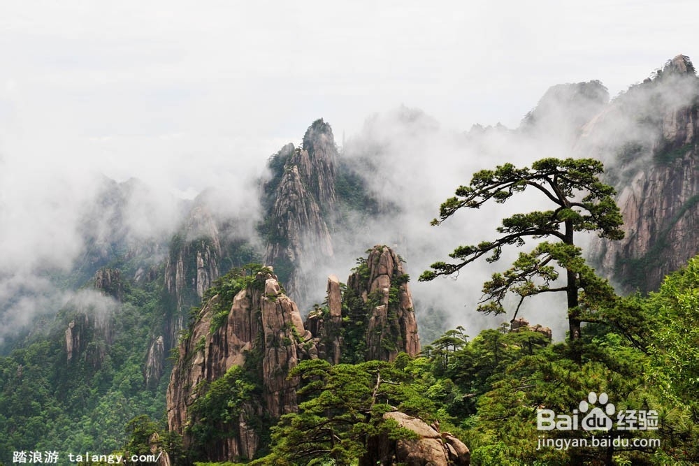 <b>安徽有哪些值得旅游的景点</b>