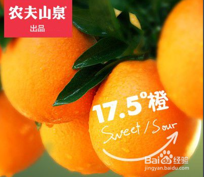 赣南脐橙哪里的最好吃