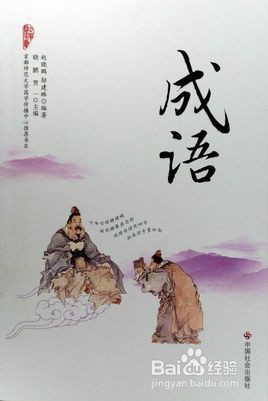 高考考点——正确使用成语