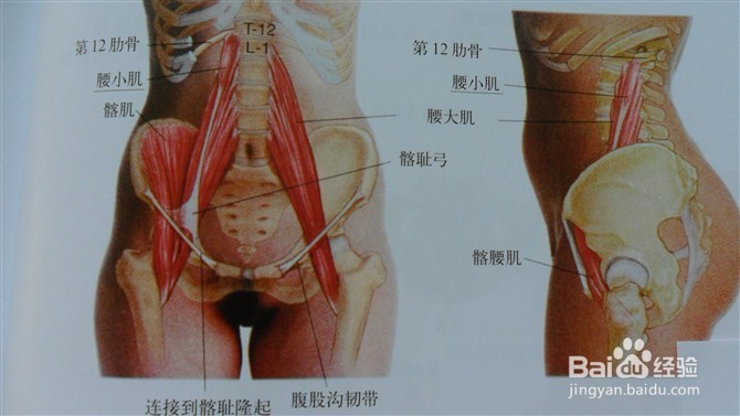 想瘦肚子 教练推荐了这个体式 可是练完大腿累
