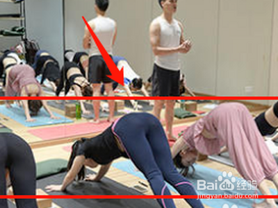 国内好的瑜伽培训学校