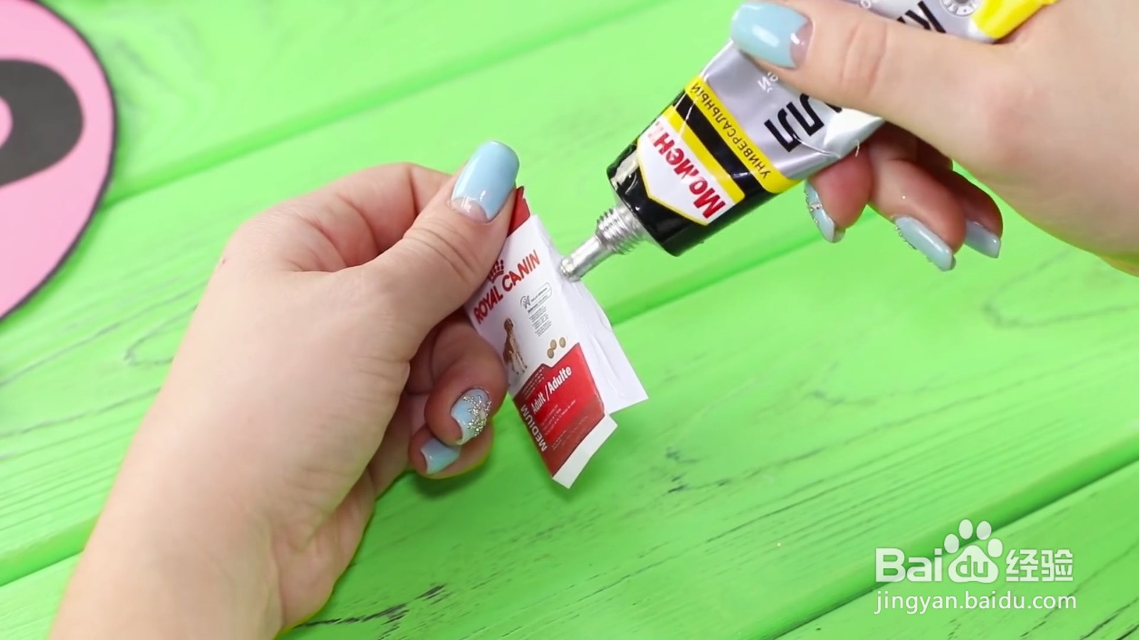 如何给宠物狗狗diy美味的食物？