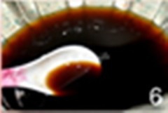 糖醋排骨的做法