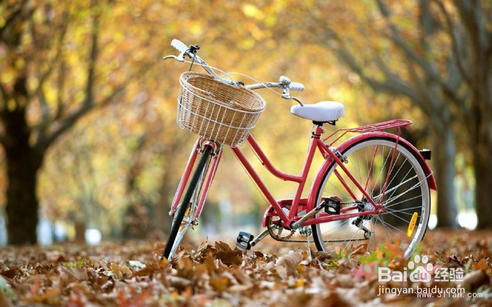 如何乘车更安全放心