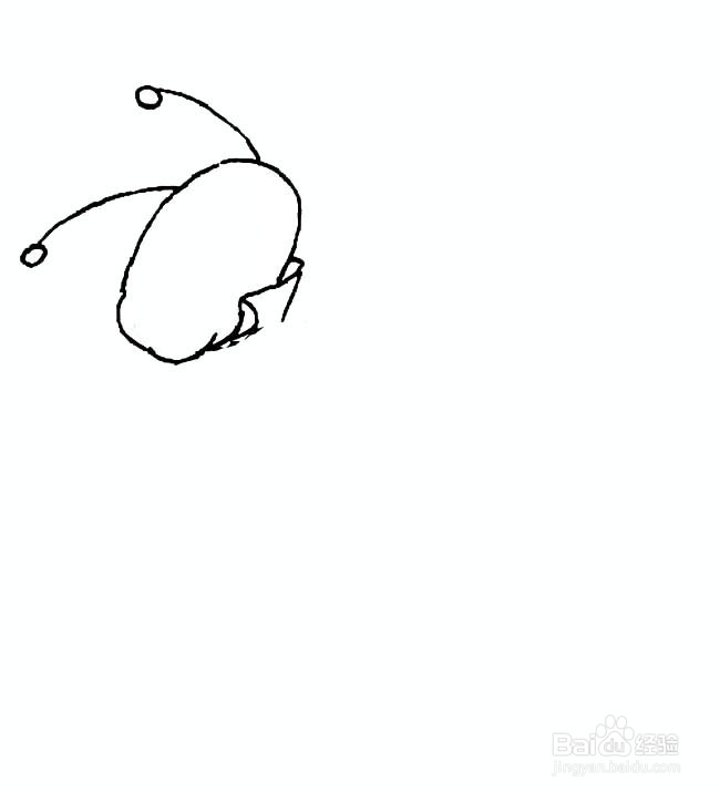 穿燕尾服的帅气的卡通蝈蝈的简笔画