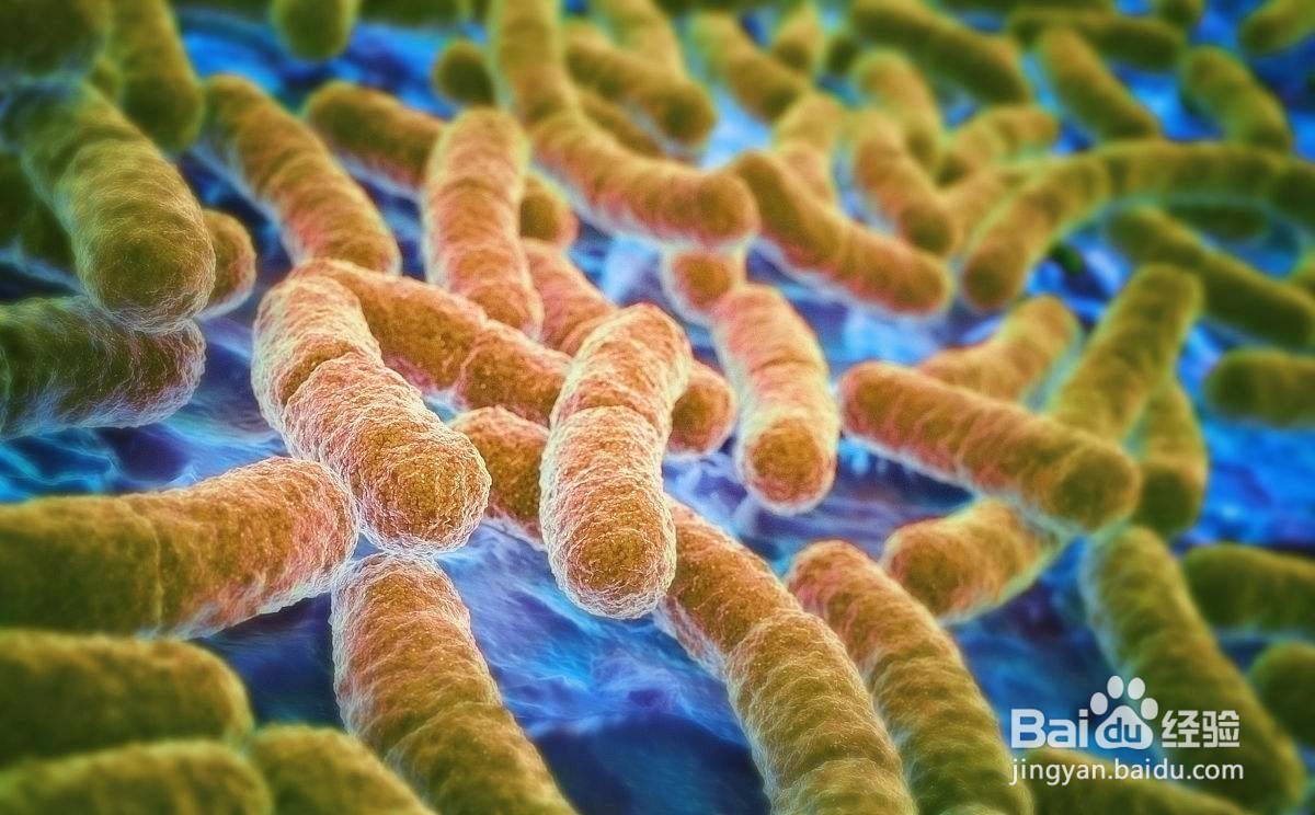 益生菌怎么选择?