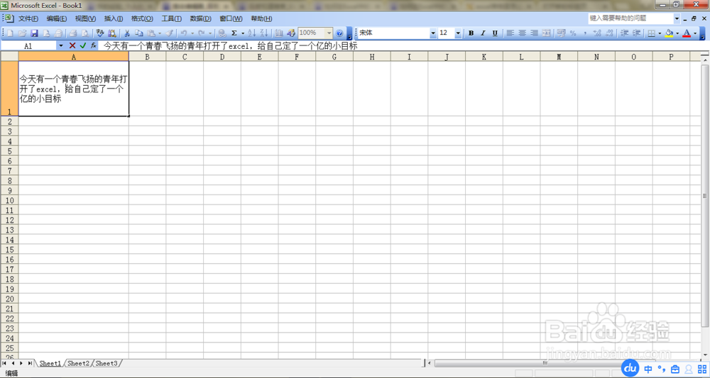 Excel表格里怎么输入两行文字