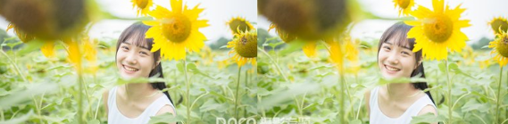 Photoshop怎么样调出向日葵中女孩日系暖色效果