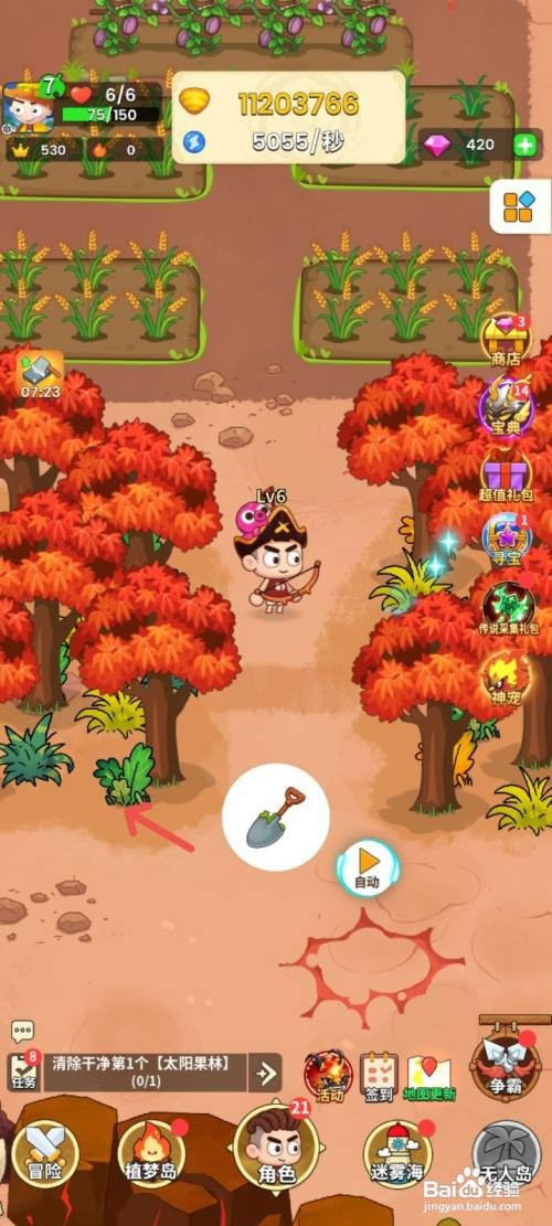 史小坑的花前月下如何清除太阳果林上的树