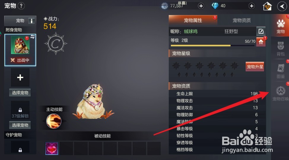 余烬风暴宠物召唤入口在哪