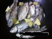 秘制浓汤鲫鱼