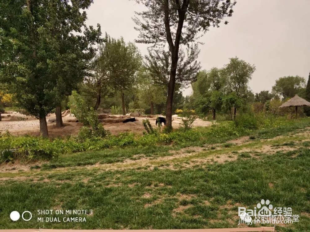 北京野生动物园一日游