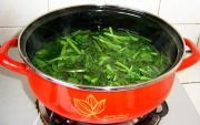 五彩菠菜的步骤