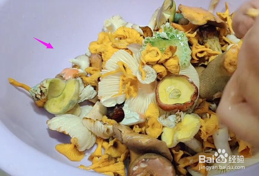 野生菌怎样放冷冻保存#校园分享#