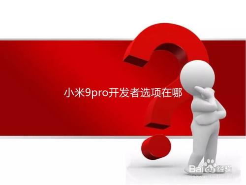 小米9pro开发者选项在哪