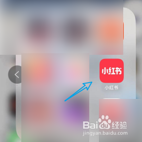 小红书如何查询隐私设置
