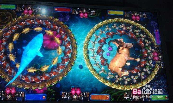 冲层精英输出技巧及队伍配合攻略