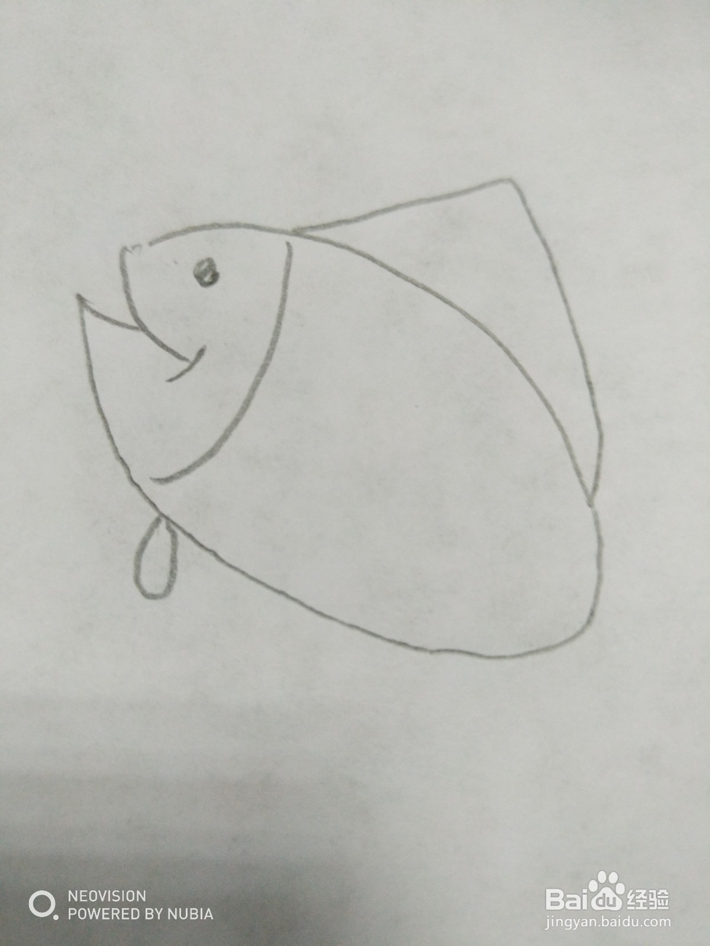 简单的小鱼怎么画（十）