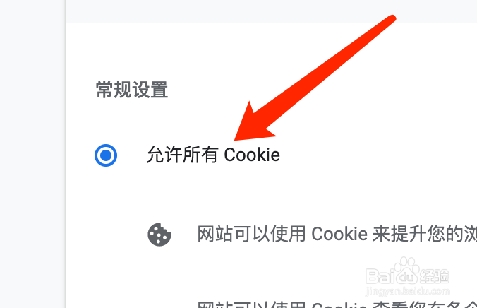 Mac版谷歌浏览器如何允许所有Cookie