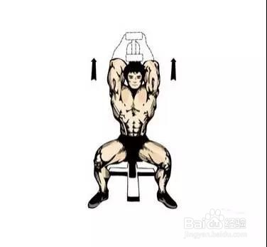 只需一对哑铃,在家锻炼全身肌肉!