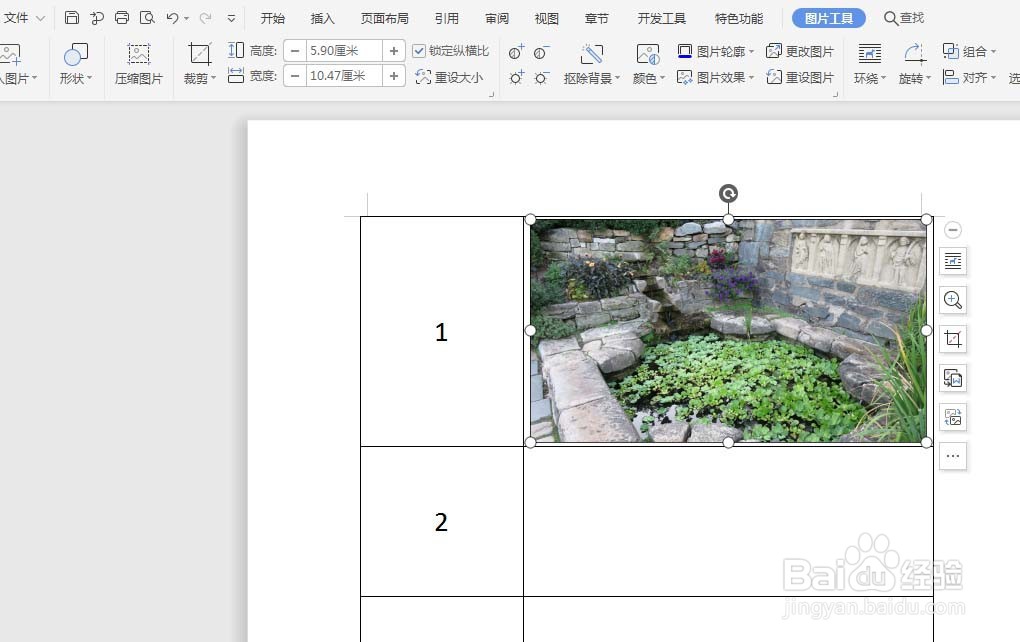 word表格插入图片怎样不变形