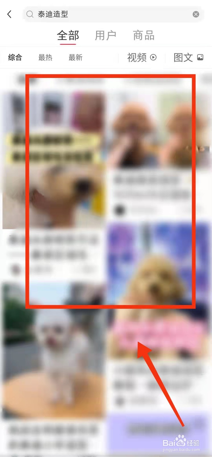 怎样在小红书中“进行内容搜索”