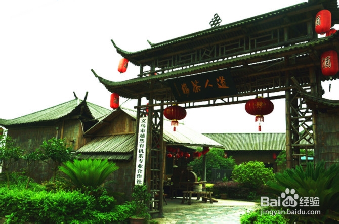 义务大陈农业旅游不瞎玩，月月新鲜吃不停！