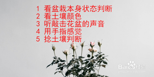 养盆栽时怎么判定盆栽缺不缺水?