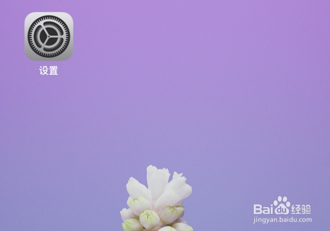 苹果iPhone手机怎样关闭朗读检测到的文本？