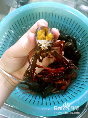 怎么做好吃的潜江油焖大虾