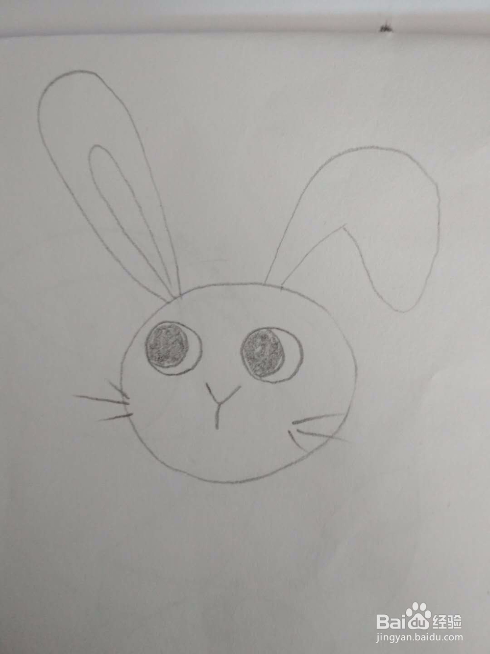 多妈简笔画动物一只可爱的小白兔