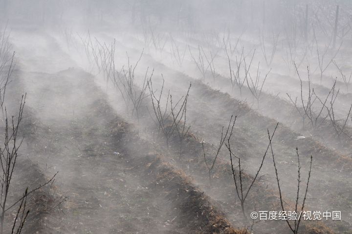 大雾形成的条件和原因