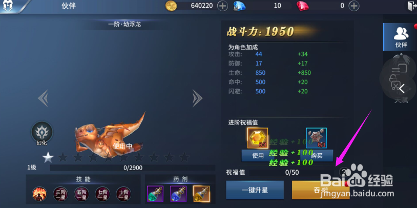 多兰大陆让伙伴吞噬装备,伙伴提升战力方法?