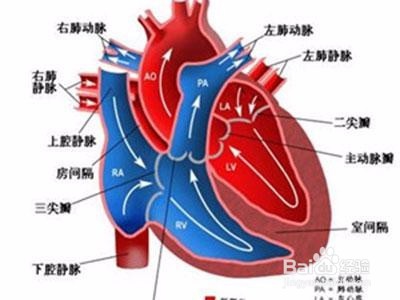 吃芒果有哪些好处