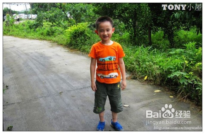 又当江南杨梅熟----采杨梅去！附杨梅的4种最in的吃法