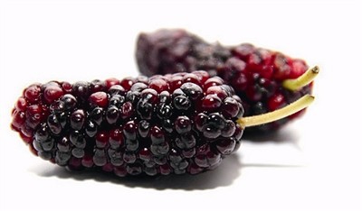 花青素究竟能有多大用