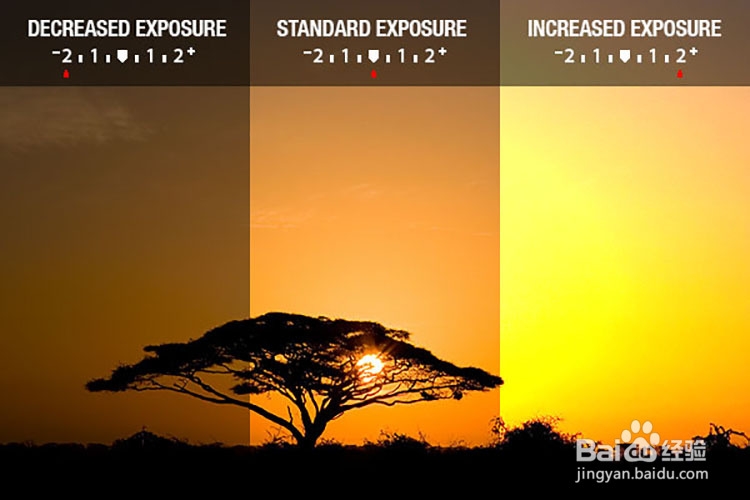 零基础学摄影-快速了解摄影的最基本术语