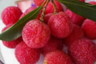 杨梅儿童可以吃吗