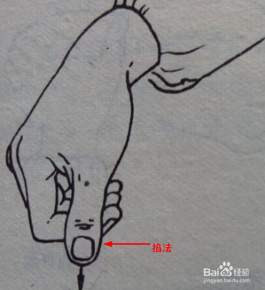 手部按摩疗法的基本手法图解