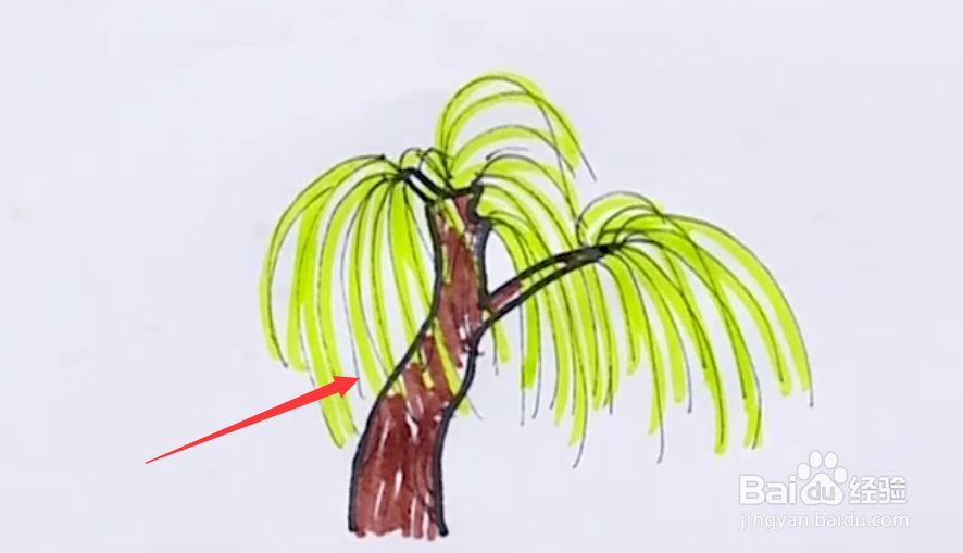 柳树的样子怎么画