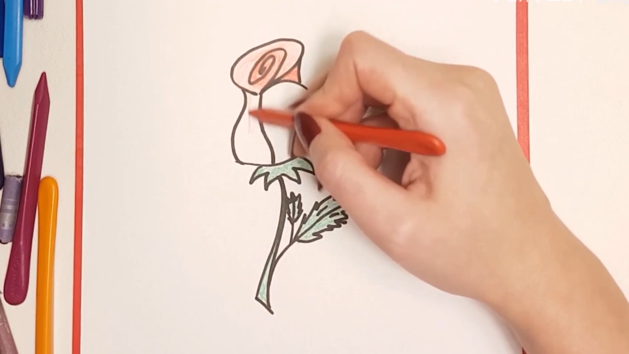 怎样画玫瑰花？