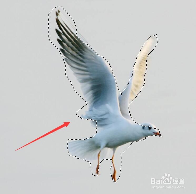 photoshop如何抠图