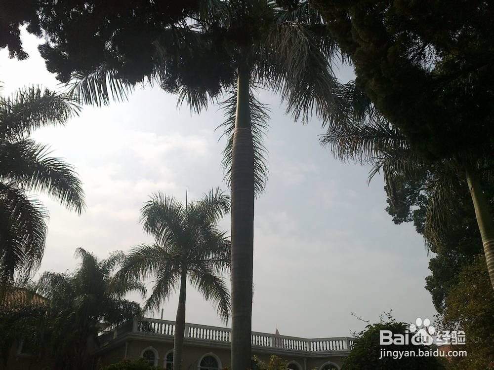 鼓浪屿旅游攻略之菽庄花园